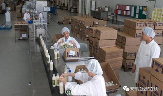 投資1000萬美元的化妝品加工廠在安開業，引領本土美妝產業新格局